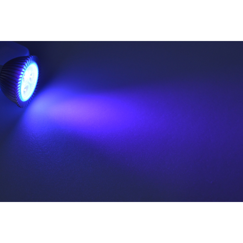 LED-Stiftsockellampe MR16 GU5.3 400nm ultraviolett 51 Lumen IP20 Niedervolt  10-30V DC